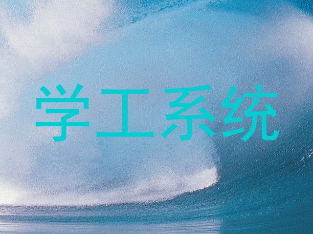 学工系统