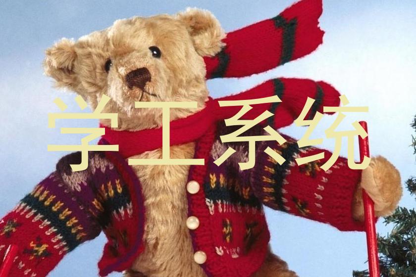 学工系统