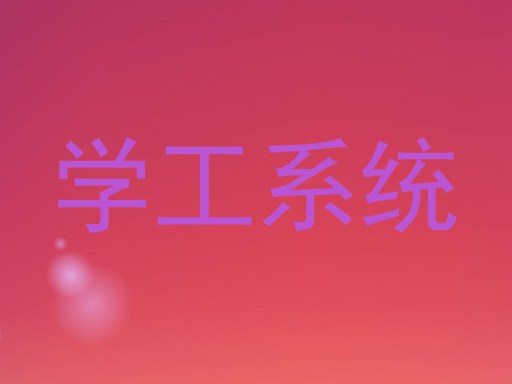 学工系统