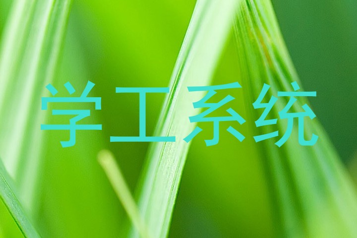 学工系统