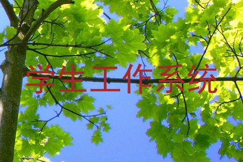 学生工作系统