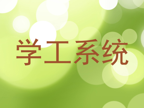 学工系统