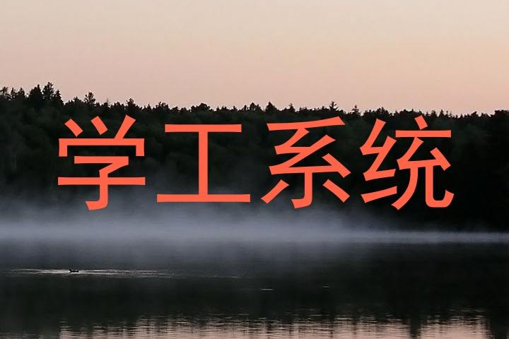 学工系统