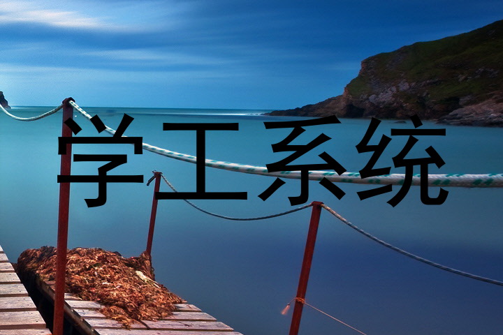 学工系统