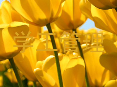 学工管理