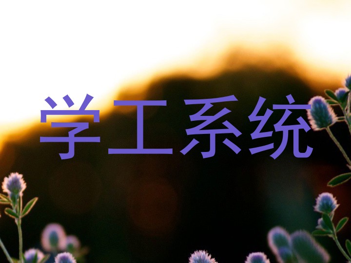学工系统