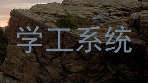 学工系统