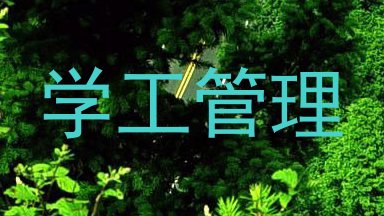 学工管理