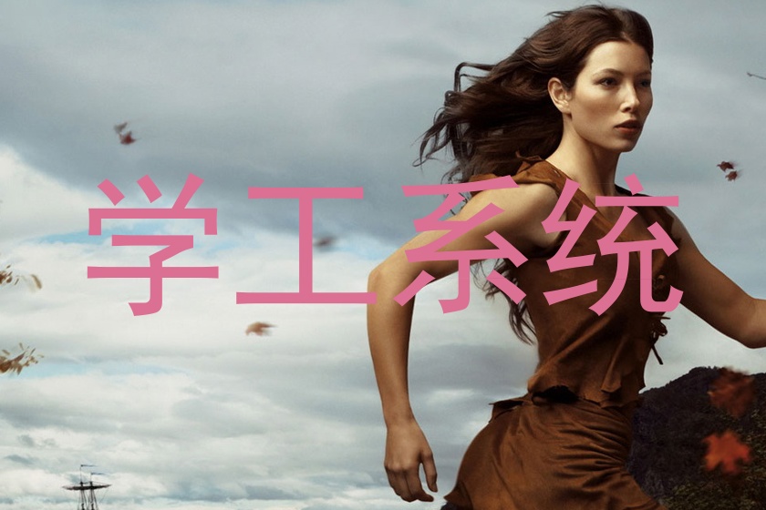 学工系统