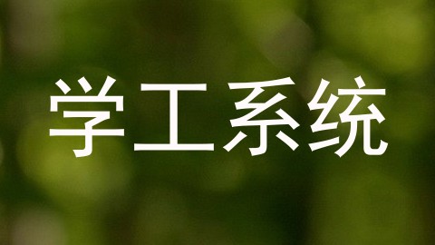 学工系统
