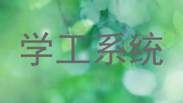 学工系统