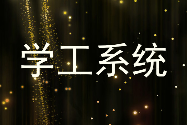 学工系统