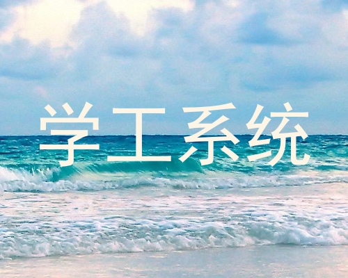 学工系统