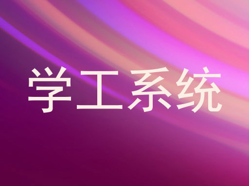 学工系统