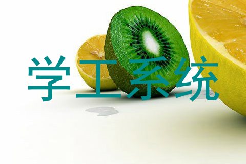 学工系统