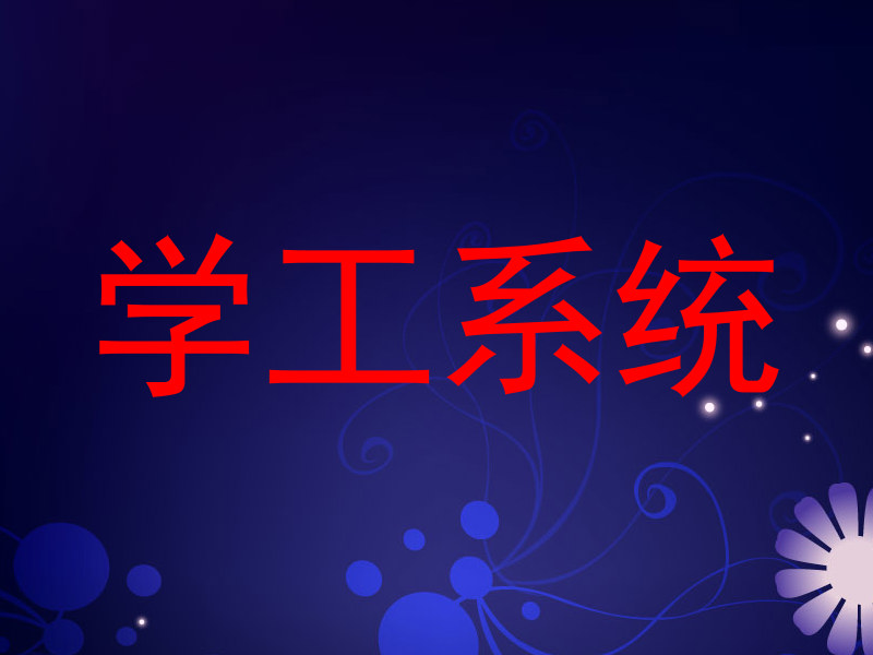 学工系统