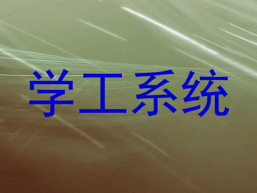 学工系统