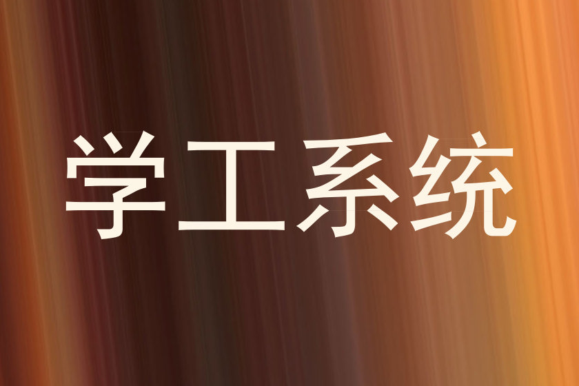 学工系统