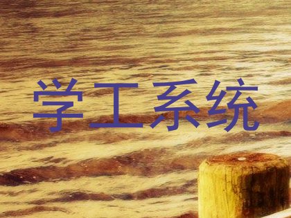 学工系统