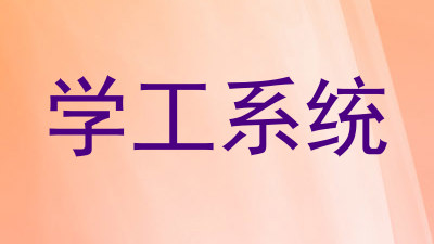 学工系统
