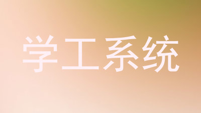 学工系统