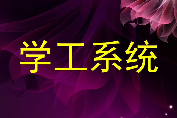 学工系统