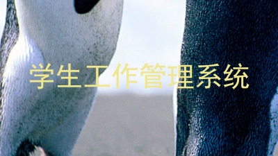学生工作管理系统