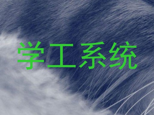 学工系统