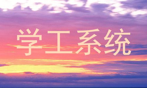 学工系统