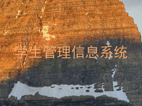 学生管理信息系统