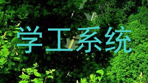 学工系统