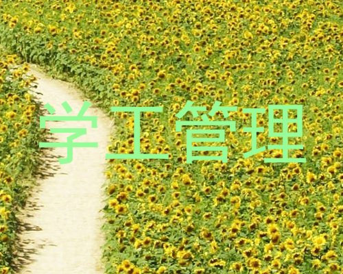 学工管理