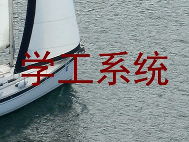 学工系统