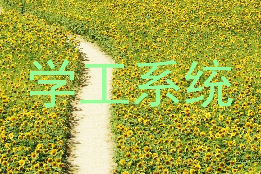 学工系统