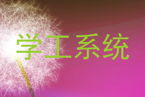 学工系统