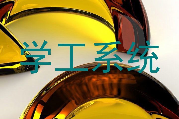 学工系统