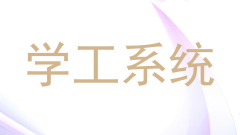 学工系统