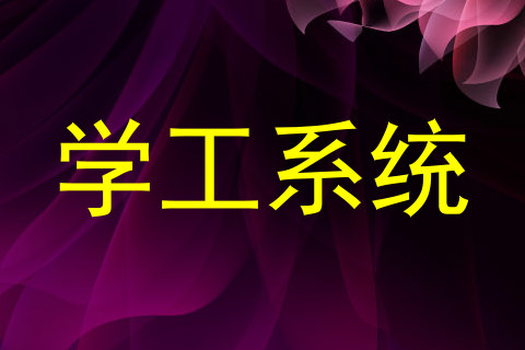 学工系统