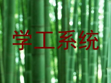 学工系统