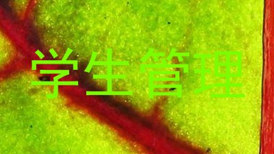 学生管理