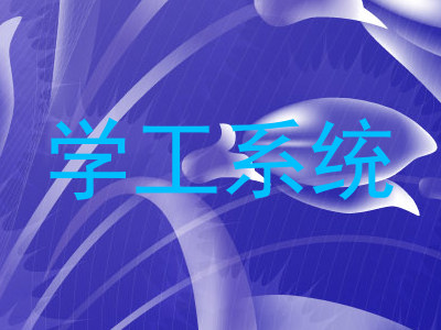 学工系统