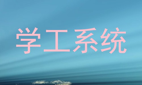 学工系统