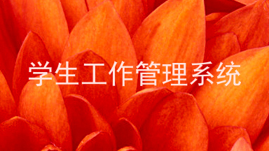 学生工作管理系统