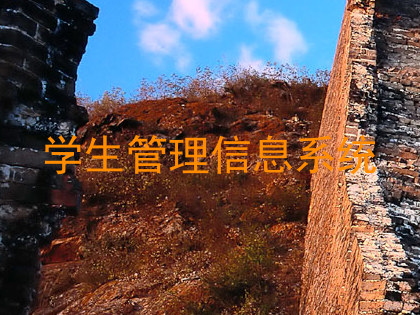 学生管理信息系统