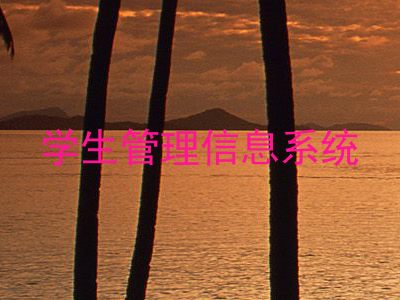 学生管理信息系统