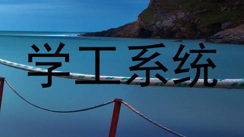 学工系统