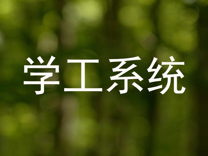 学工系统