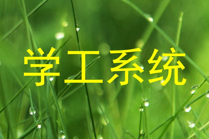 学工系统