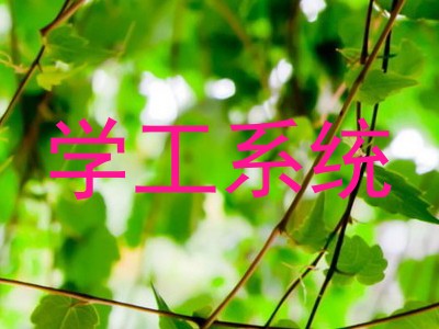 学工系统