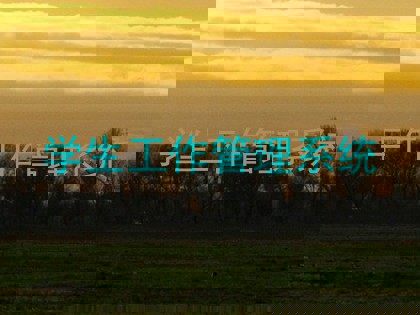 学生工作管理系统